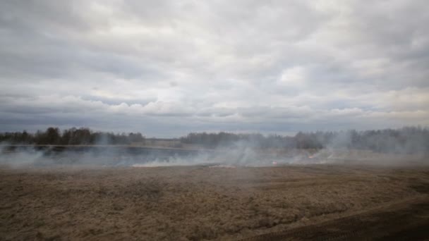 Aerial view of dry grass burning on the farmland — Stock Video