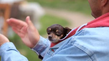 Köpekler ile onların mülkiyet pet arka, parti