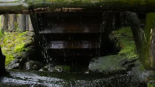 Rueda de molino de agua de trabajo con agua cayendo — Vídeos de Stock
