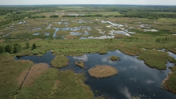 Вид с воздуха на болотные земли возле долины реки — стоковое видео