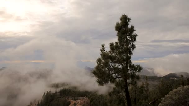 雲が山の上に移動 — ストック動画