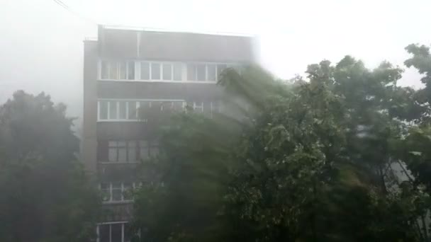 Fuertes fallas de viento durante la tormenta de primavera — Vídeo de stock