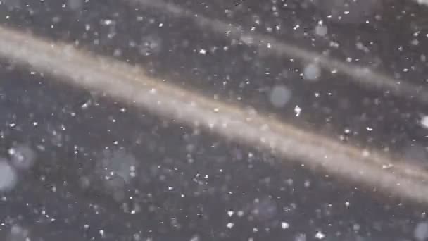 Copos de nieve cayendo sobre el camino de invierno — Vídeos de Stock