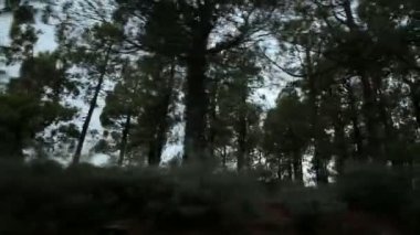 Dağ yolda bir araba