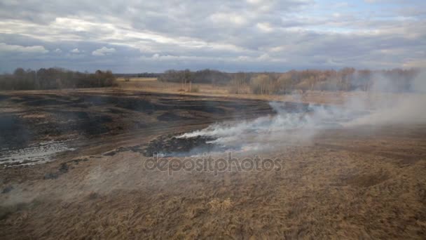 Vista aérea de hierba seca ardiendo en las tierras de cultivo — Vídeo de stock