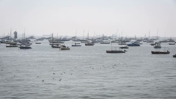 Barcos turísticos y pesqueros por el puerto — Vídeo de stock