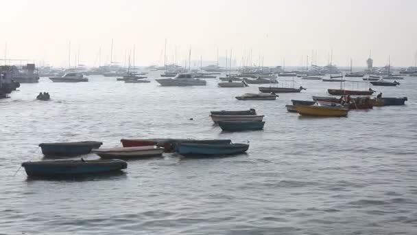 Turist- och fisher båtarna i hamnen — Stockvideo