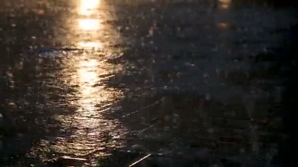 Асфальт под проливным дождем ночью — стоковое видео