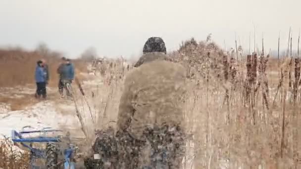 Cosecha de caña en invierno — Vídeo de stock