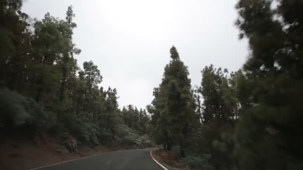 Conduzir um carro na estrada da montanha — Vídeo de Stock
