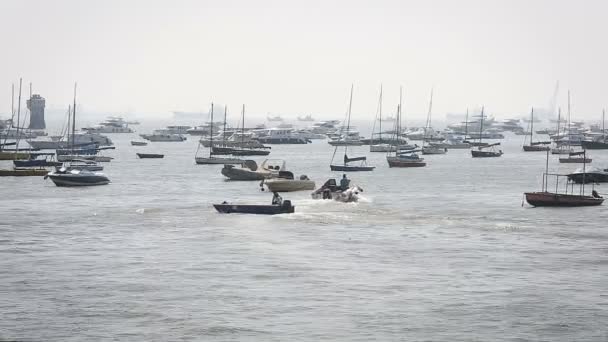 Turist- och fisher båtarna i hamnen — Stockvideo