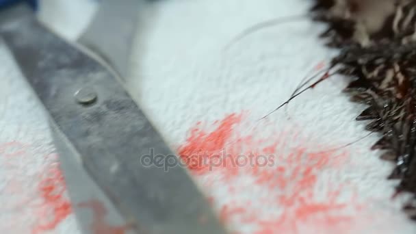 Ferramentas sangrentas na toalha branca manchada de sangue — Vídeo de Stock