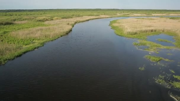 Вид з повітря на болотні землі біля долини річки — стокове відео