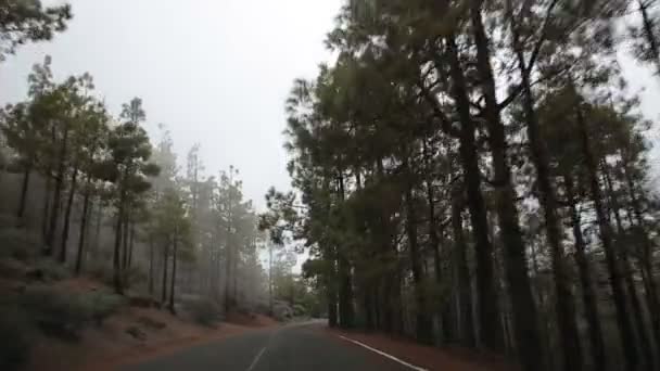 Conduire une voiture sur la route de montagne — Video