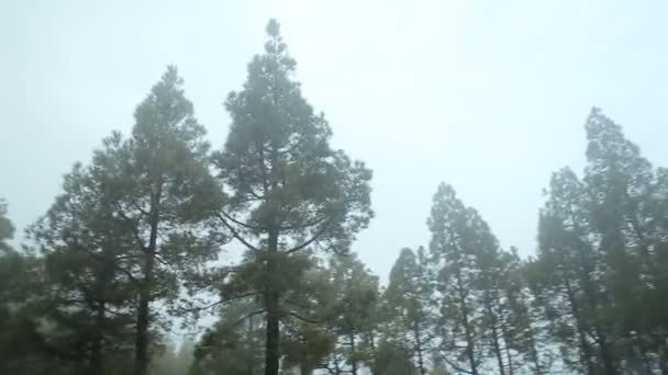 산악도로에 자동차를 운전 — 비디오