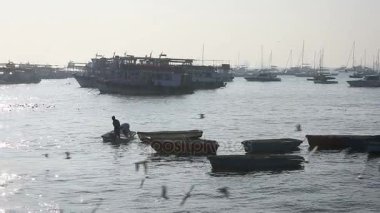 Turist ve balıkçı tekneleri liman tarafından