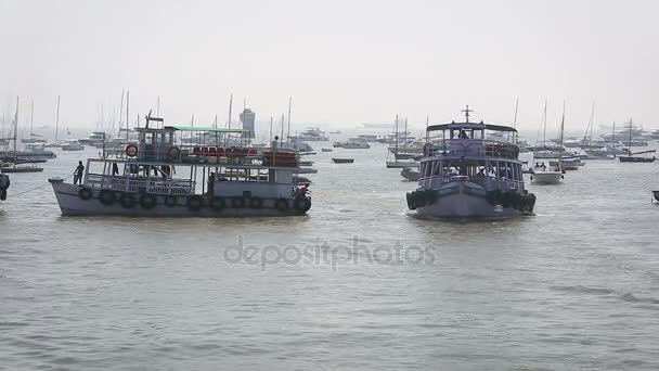 Barcos turísticos y pesqueros por el puerto — Vídeos de Stock