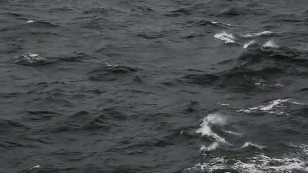 Donkere golven in de zee — Stockvideo