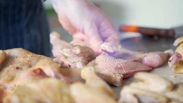 Aves desplumadas quemadas y limpiadas de plumas — Vídeo de stock