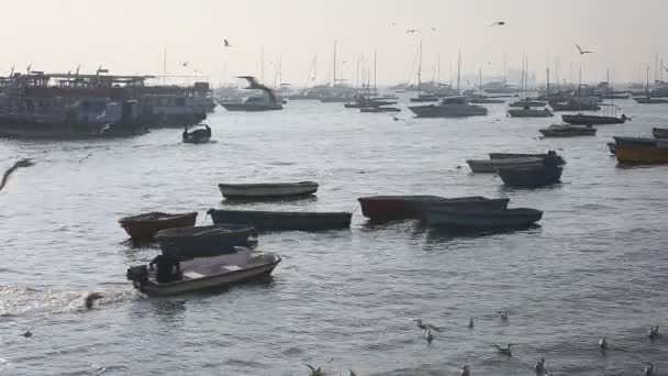 Barcos de turismo e pescadores junto ao porto — Vídeo de Stock