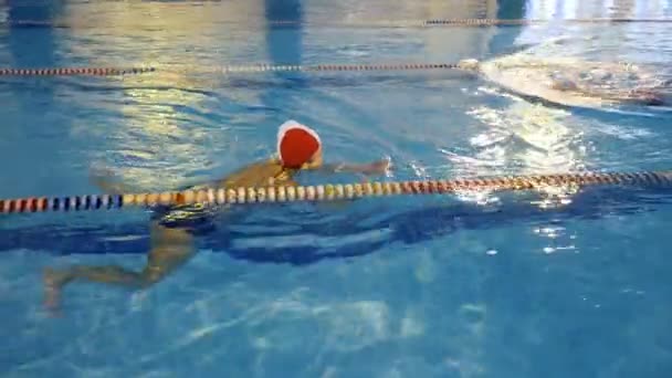 Mujer mayor nadando en la piscina — Vídeo de stock