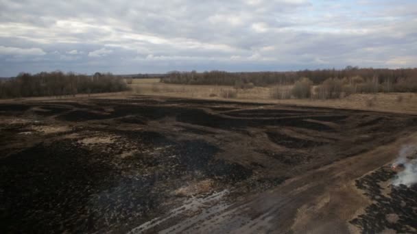 Luchtfoto van droog gras dat op de landbouwgrond brandt — Stockvideo