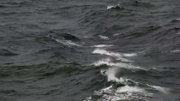 Темные волны в море — стоковое видео