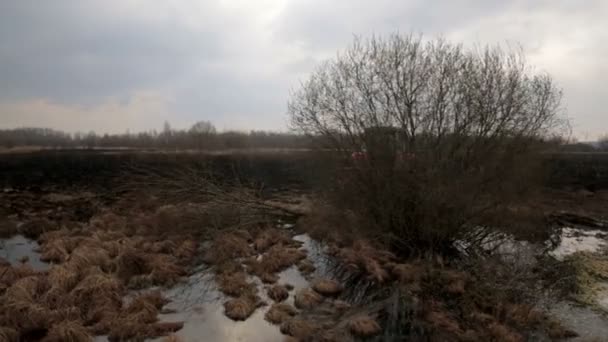 Вид с воздуха с трактора, вспахивающего почву — стоковое видео