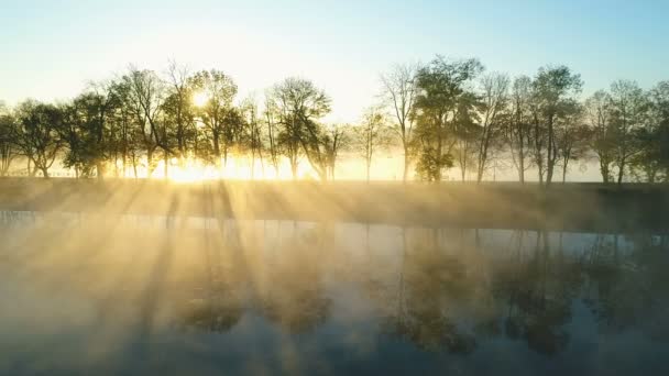 Lever de soleil brumeux sur l'allée du parc au bord du lac