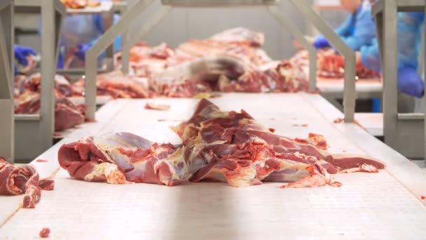 Carniceros cortando carne por la cinta transportadora — Vídeo de stock