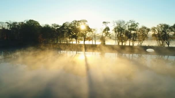 Lever de soleil brumeux sur l'allée du parc au bord du lac — Video