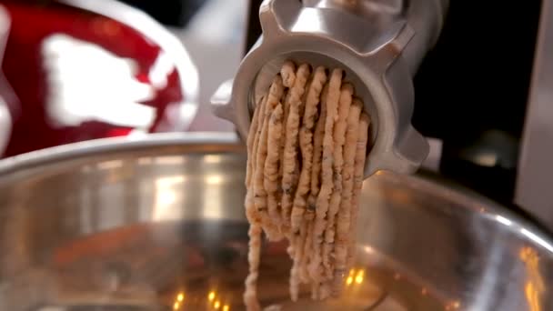 Forcemeat coming out of mincer in a bowl — Stock video