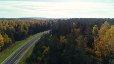 Sonbahar ormanında yol