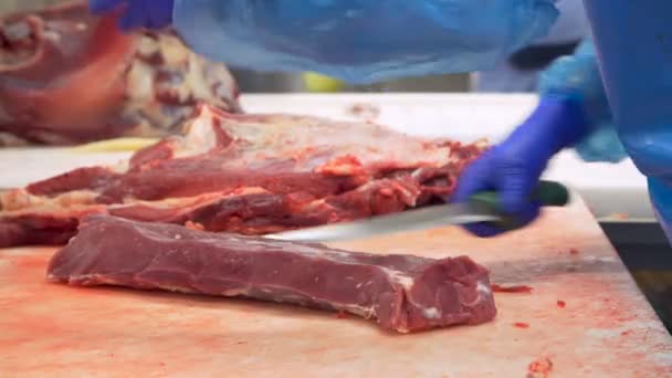 Butcher cutting beef by the conveyor belt — Stock Video