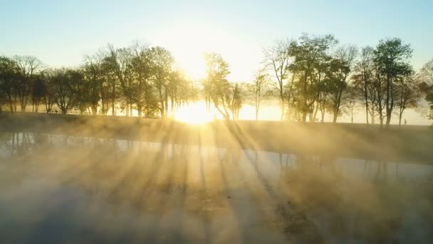 Foggy soluppgång över park gränd vid sjön — Stockvideo