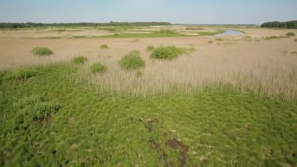 Вид с воздуха на болотные земли возле долины реки — стоковое видео