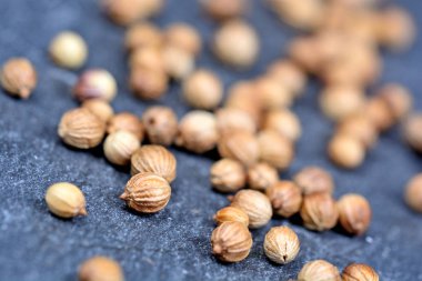 Grup kişniş kayrak üzerine