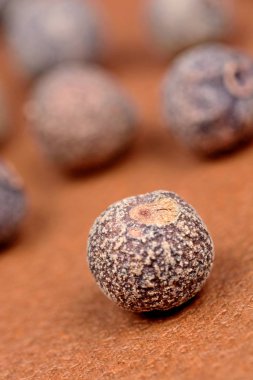 Yenibahar kahverengi zemin üzerine