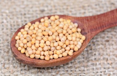 Bir kaşığı hardal tohumu