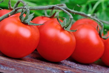 Domates ve maydanoz üzerinde ahşap masa yığını