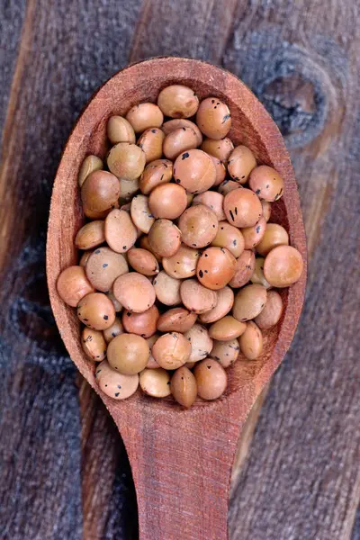 Bir kaşık kahverengi mercimek — Stok fotoğraf