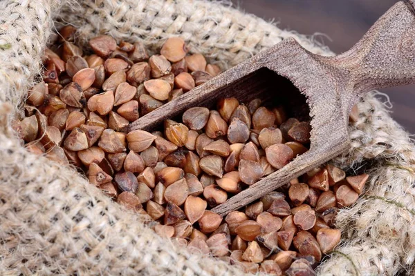 Brown buckwheat dalam karung dengan sendok kayu — Stok Foto