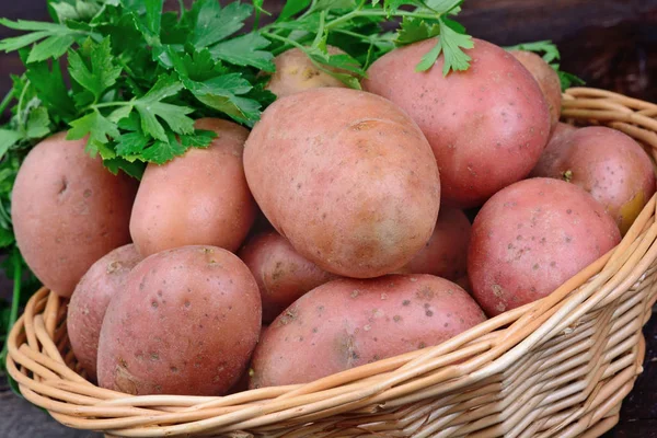 Red potatoes with parsley in a basket — Stock Photo, Image