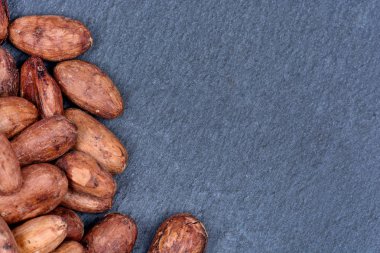 Kayrak kakao fasulye yığını