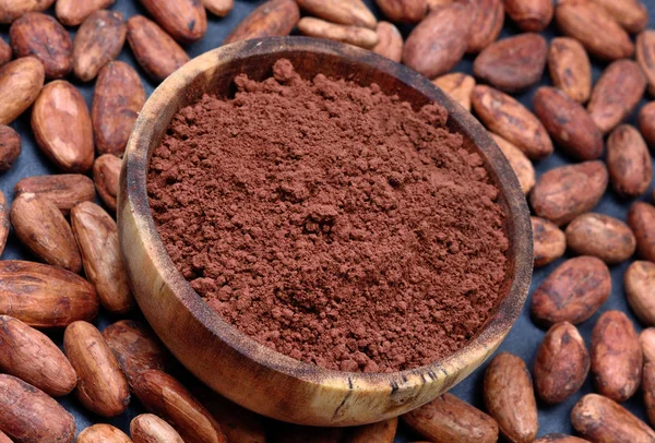 Kakao tozu ve kayrak fasulye ile kase — Stok fotoğraf