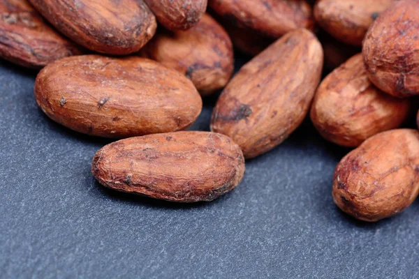 Kayrak kakao fasulye grup — Stok fotoğraf