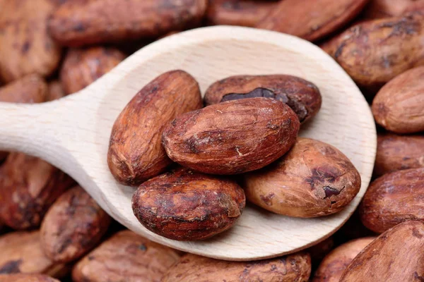 Tahta kaşık kakao çekirdekleri ile — Stok fotoğraf