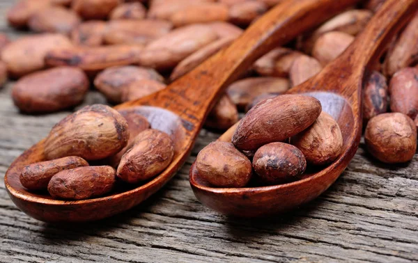 Cucharas de madera con granos de cacao en la mesa — Foto de Stock
