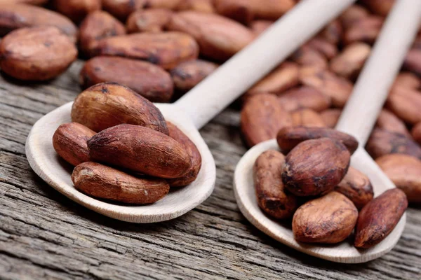 Masada bir kaşık kakao fasulye yığını — Stok fotoğraf