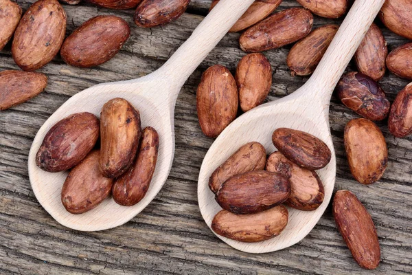 Cocoa beans in a wooden spoons on table — Free Stock Photo